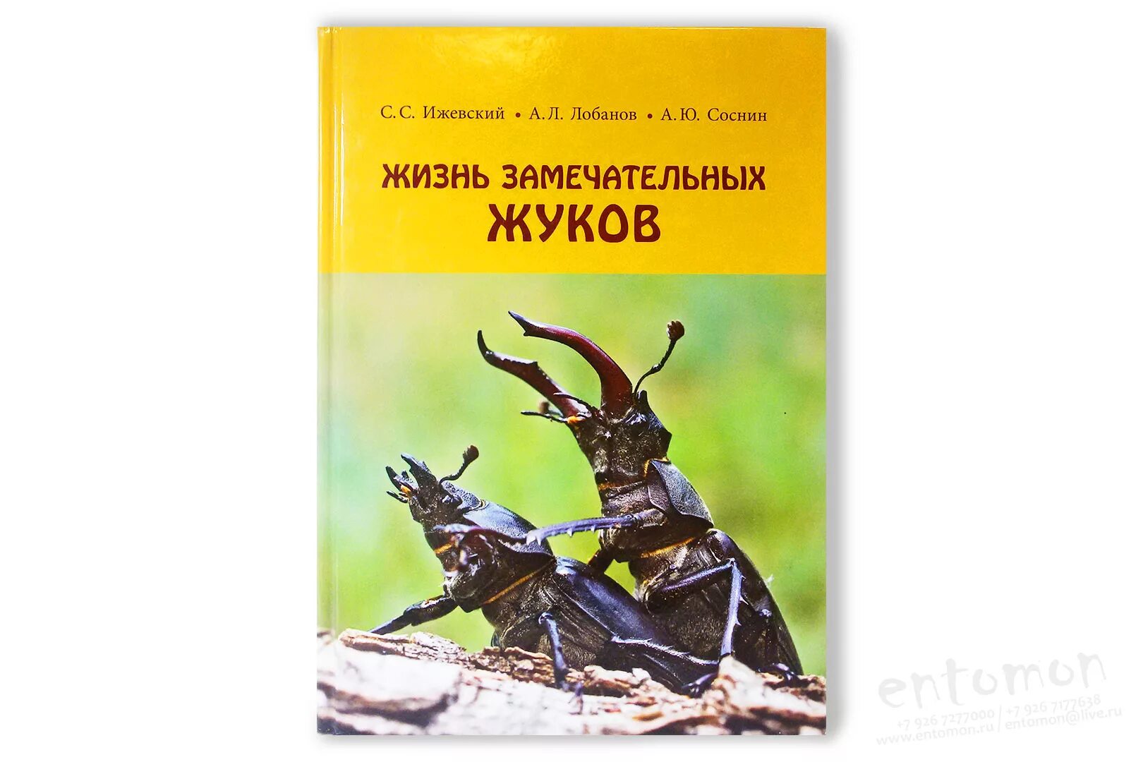 Настоящая жизнь жука. Ижевский жизнь замечательных Жуков. Ижевский с.с., Лобанов а.л., Соснин а.ю. - жизнь замечательных Жуков - 2014. Жизнь замечательных Жуков книга.