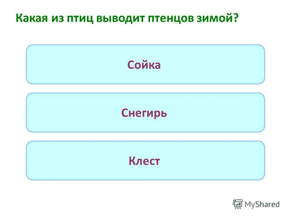 Птенцов по составу