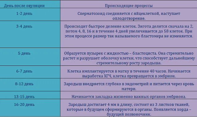 Через сколько забеременеешь после акта