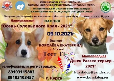 Скор собаки