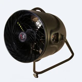 Fan special