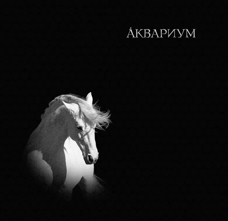 Horses песня текст. Белая лошадь альбом Гребенщикова. Аквариум лошадь белая альбом. Обложка альбома аквариум лошадь белая.
