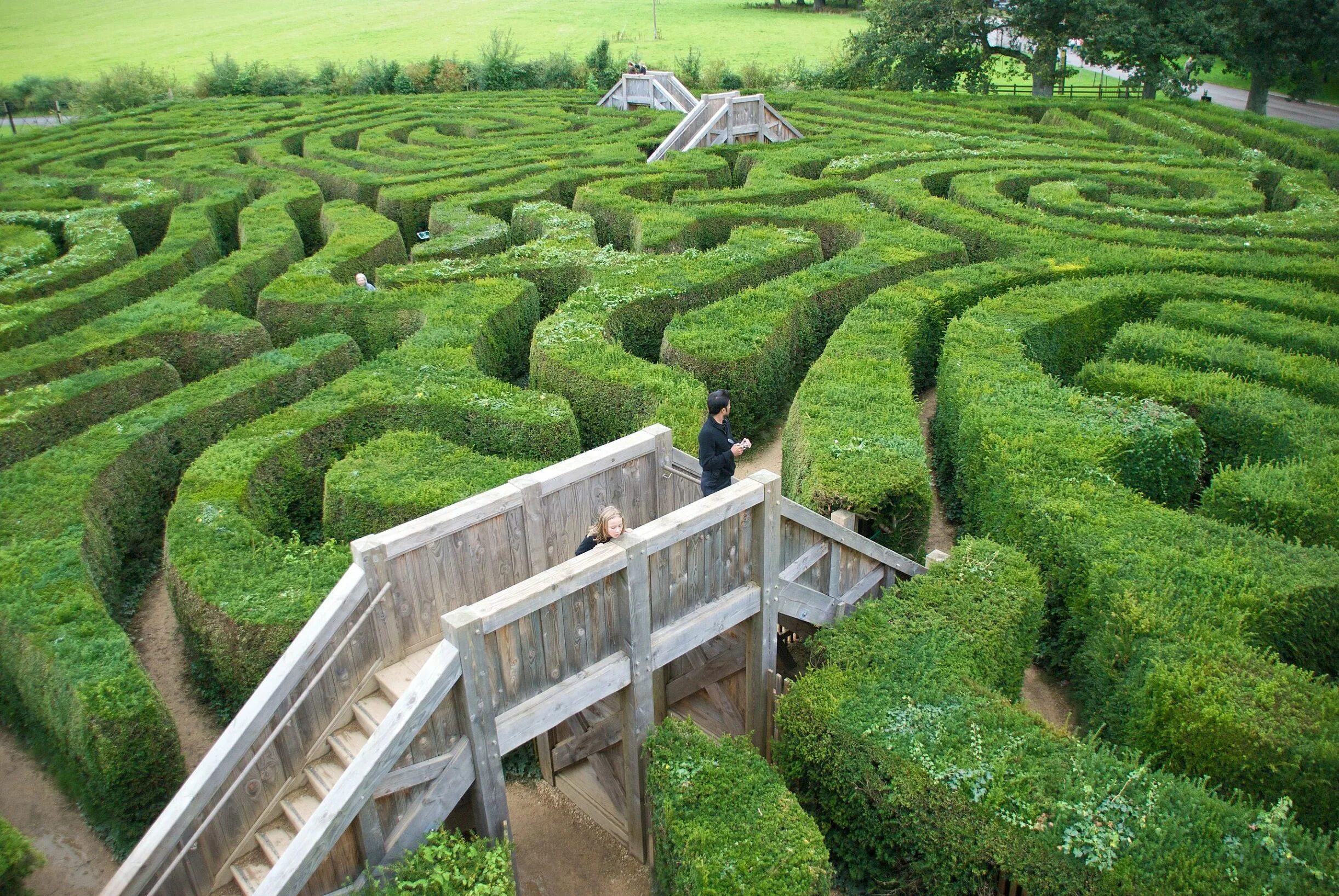 Самый большой парк. Лабиринт Longleat Hedge Maze. Longleat Hedge, Англия. Longleat Hedge Maze (Англия). Английский Лабиринт Longleat Hedge Maze.