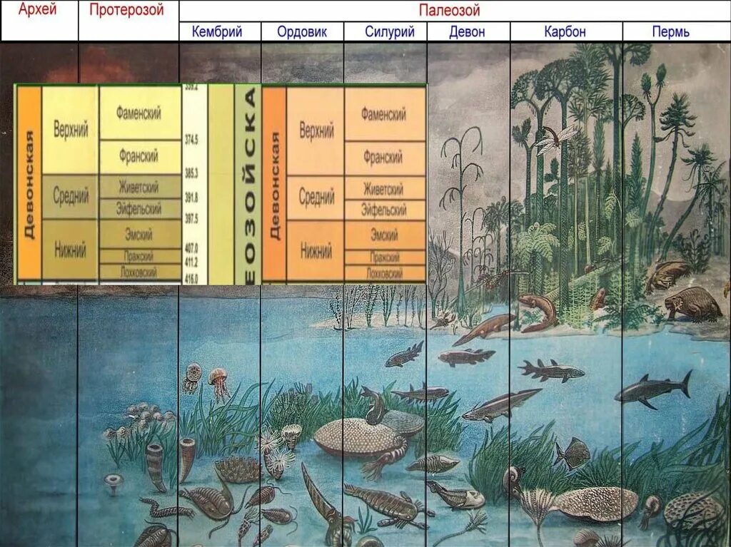 Какая эра палеозойская. Растения девонского периода таблица. Девонский период палеозойской эры таблица. Девон - четвертый Палеозойская Эра. Палеозой Девон таблица.