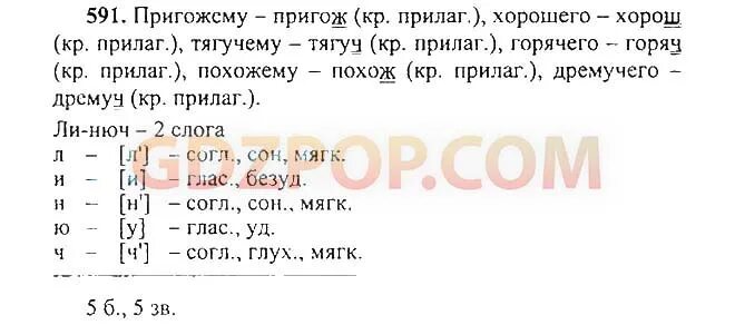 Ладыженская 6 класс русский 2 часть 556. Русский язык 5 класс стр 29. Русский язык 5 класс ладыженская 2 часть.