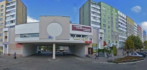 Хамелеон гомель