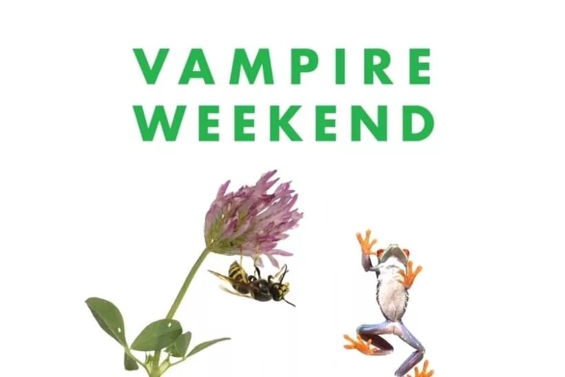 Vampire weekend only god was above us. Vampire weekend. Группа Vampire weekend. Vampire weekend logo. Vampire weekend "contra".