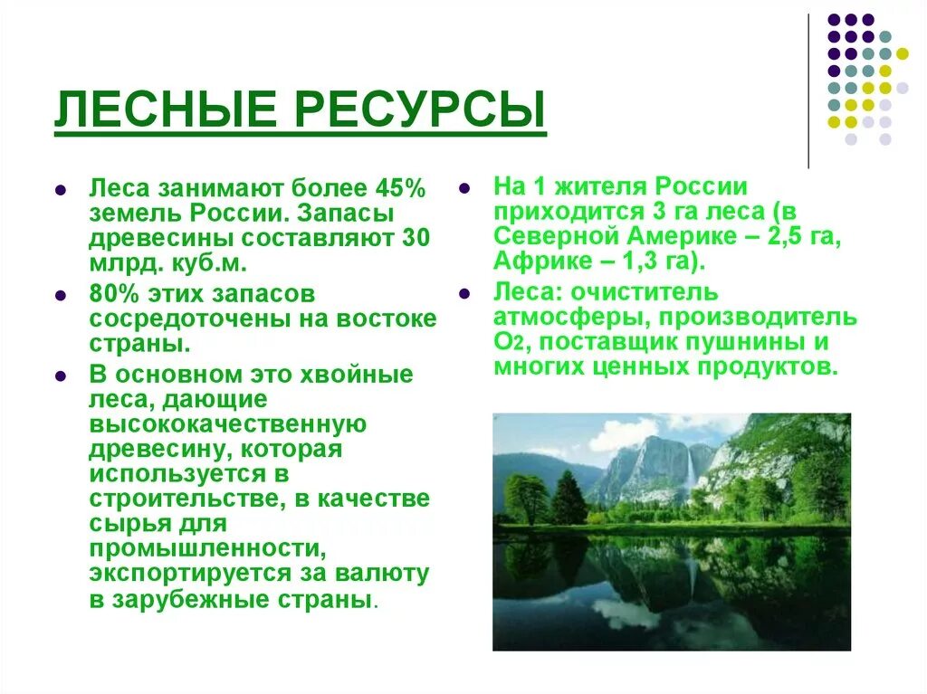 Краткая характеристика лесных ресурсов. Характеристика лесных ресурсов России. Охарактеризуйте Лесные ресурсы России. Лесные ресурсы это кратко. Лесное богатство россии