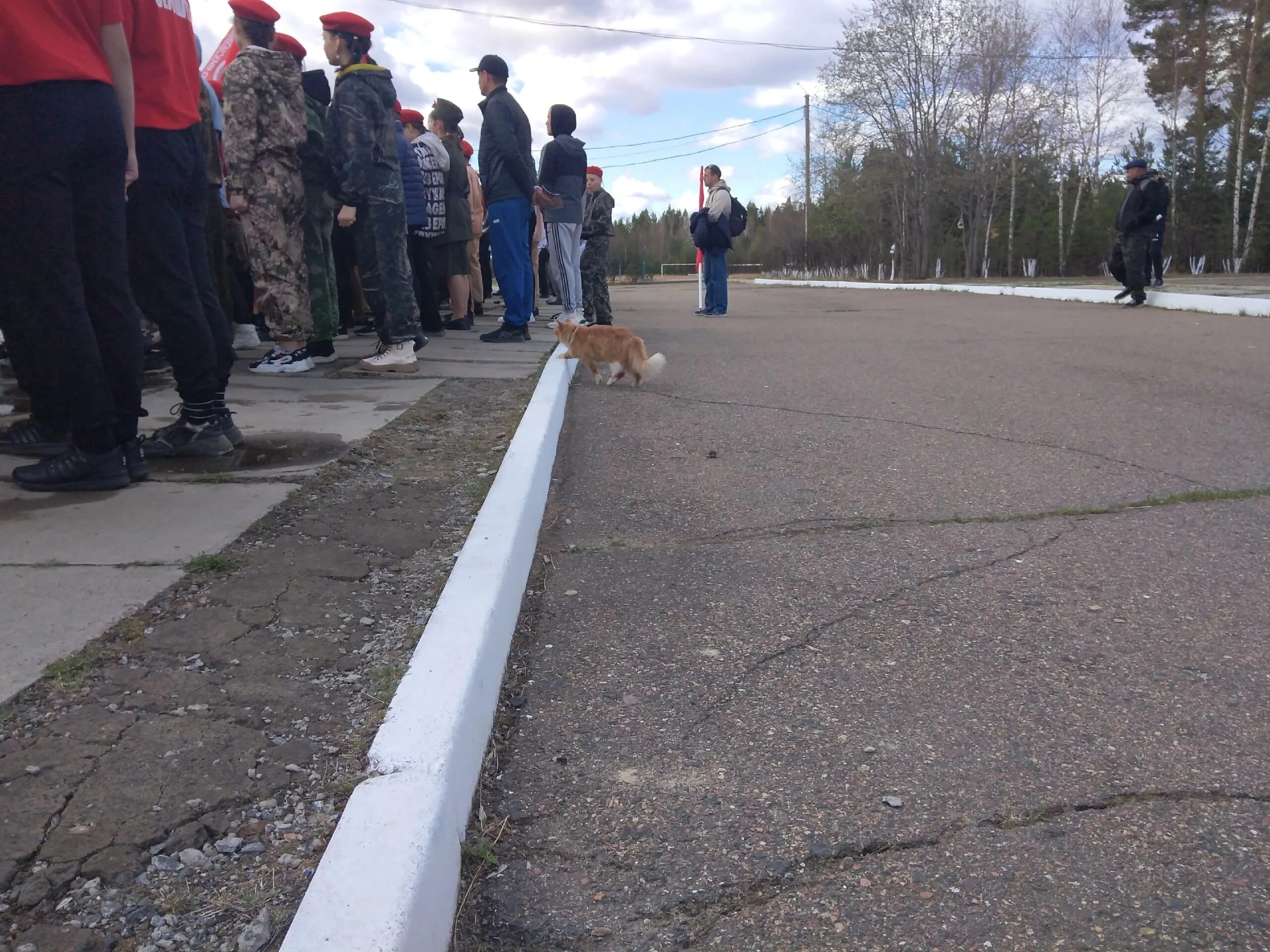 Тулунский городской сайт. Мэр Тулунского района в 2012 году. ОДОН Тулунский район. Новости по Тулуну. Гурам Тулунского района.