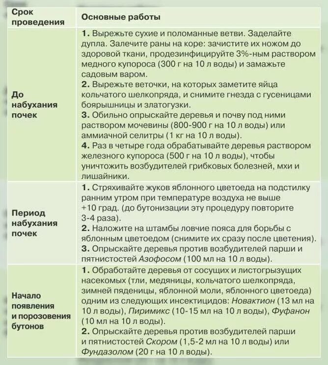 Чем обработать кусты весной до распускания