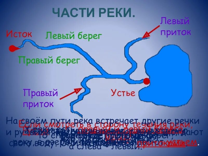 Схема реки Невы Исток. Истоки реки Устье реки правый берег левый берег. Москва река схема истока Устье и притоки. Устье реки Исток приток окружающий мир.