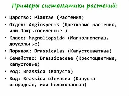 Систематическая работа это