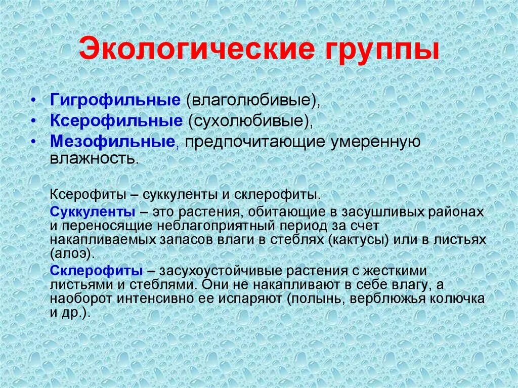 Экологические группы экология