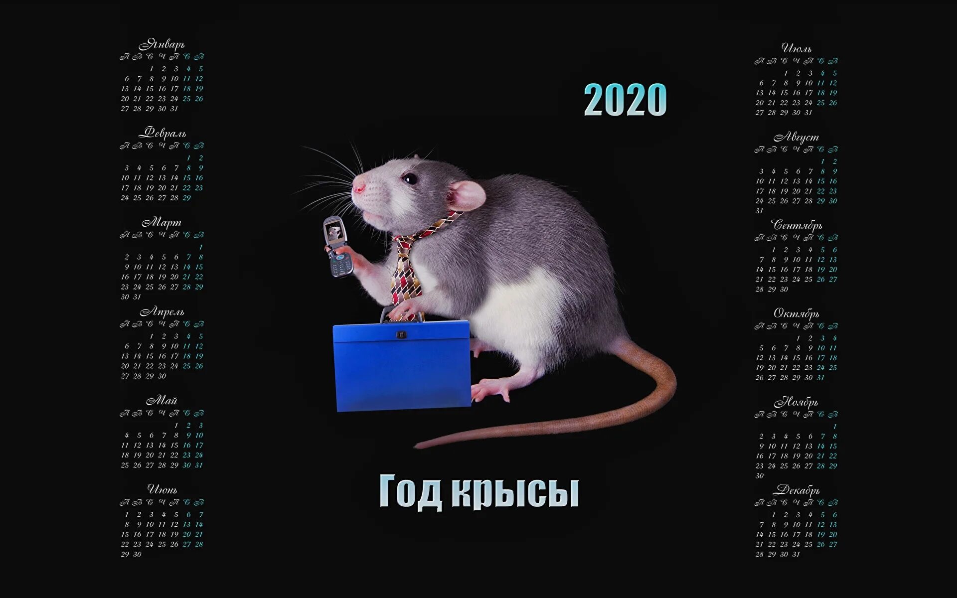 Календарь 2020. Календарь на 2020 год. Календарь 2020г. Календарик с крысами. Календарь 2020 год россия