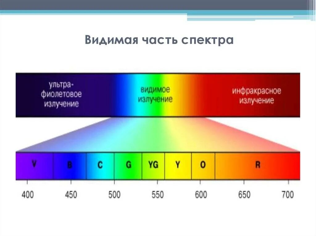 Лучи видимой части спектра имеют следующие