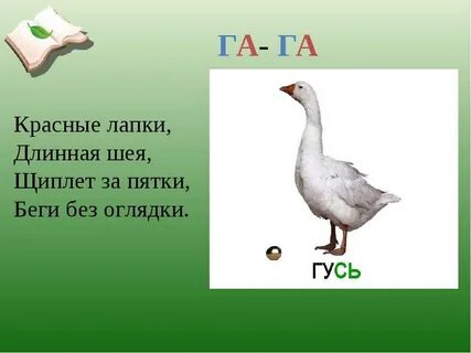 Загадка гусь