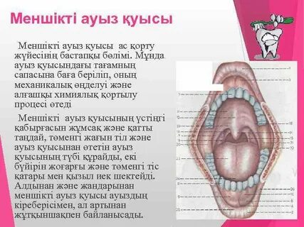 Желідегі миджеттермен порно