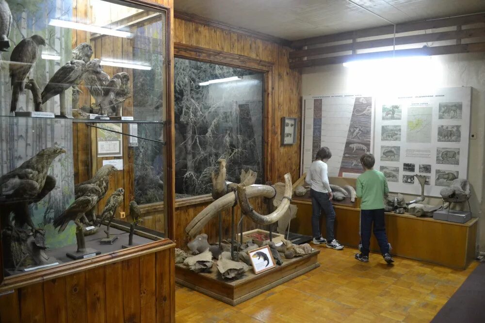 За неделю краеведческий музей посетили три первых