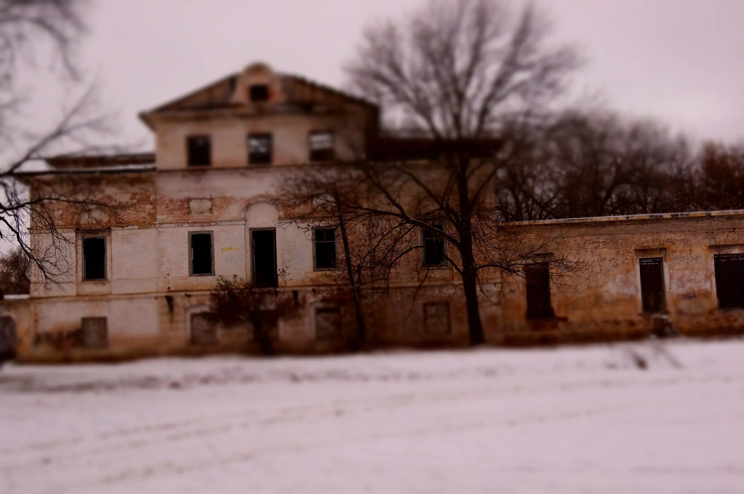 Усадьба графа орлова. Усадьба Орлова Давыдова в Усолье. Разрушенная Усолье усадьба Орловых Давыдовых. Усадьба графа Орлова в Усолье.