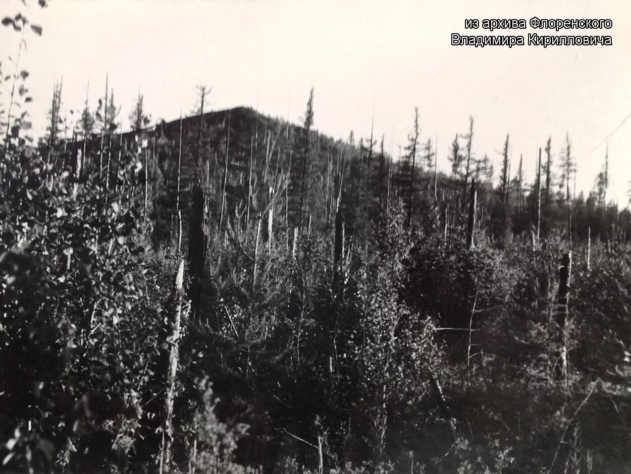 вывал леса тунгусский метеорит. камень янковского тунгусский метеорит. тунгус метеорит. тунгусский метеорит 1908 год место падения. сибирь тунгусский метеорит.