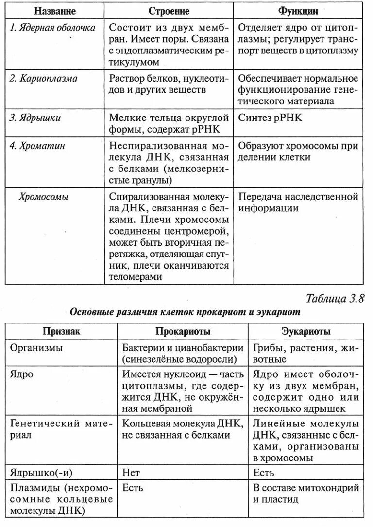 Функции органоидов эукариотической клетки таблица. Эукариотическая клетка таблица строение и функции. Строение эукариотической клетки таблица строение и функции. Строение эукариотной клетки таблица. Таблицу органоиды эукариотической клетки