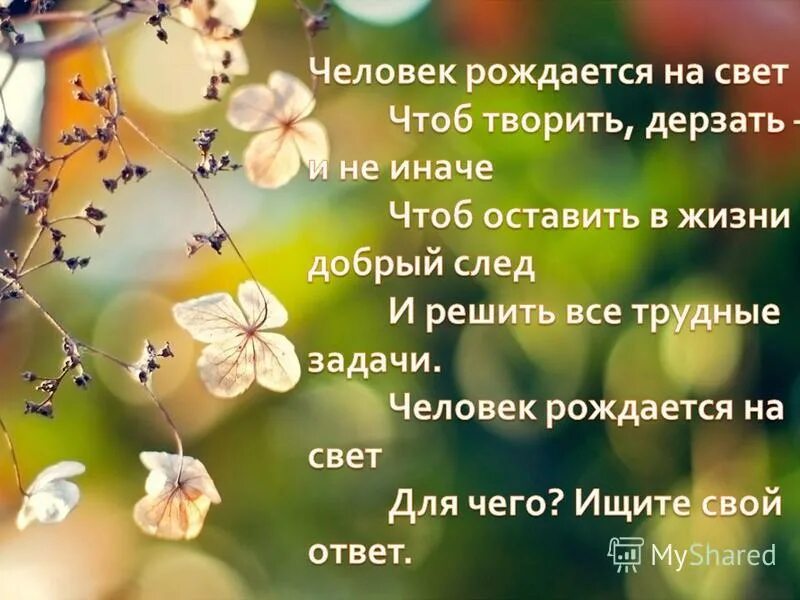 Человек родился стихи. Стих человек рождается на свет. Стих родился человек на свет.