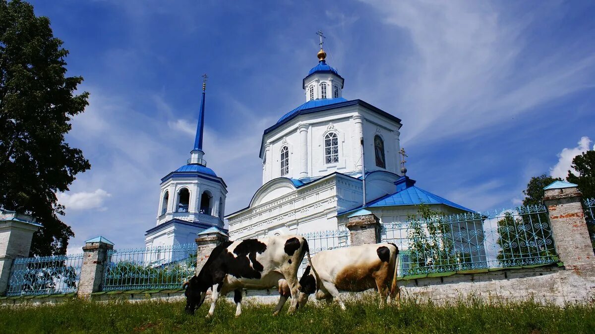 Поселок Орел Усольский район Пермский край. Посёлок орёл Пермский край Церковь. Орёл городок Пермский край. Орел городок Церковь похвалы Пресвятой Богородицы. Поселок орел пермский край