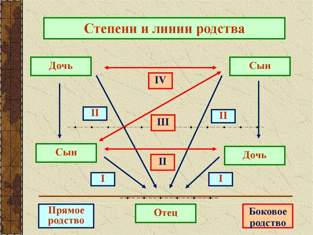 Родственниками родственниками по прямой восходящей. Линии и степени родства. Степени родства родственные. 1 Степень родства. Первая линия родства.