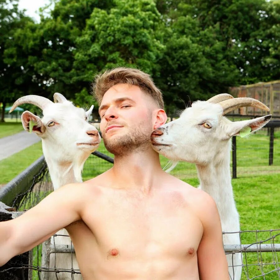 Обезьяна коза мужчина. Мужик с козой. Селфи барана. Ежик и коза. Парень баран.
