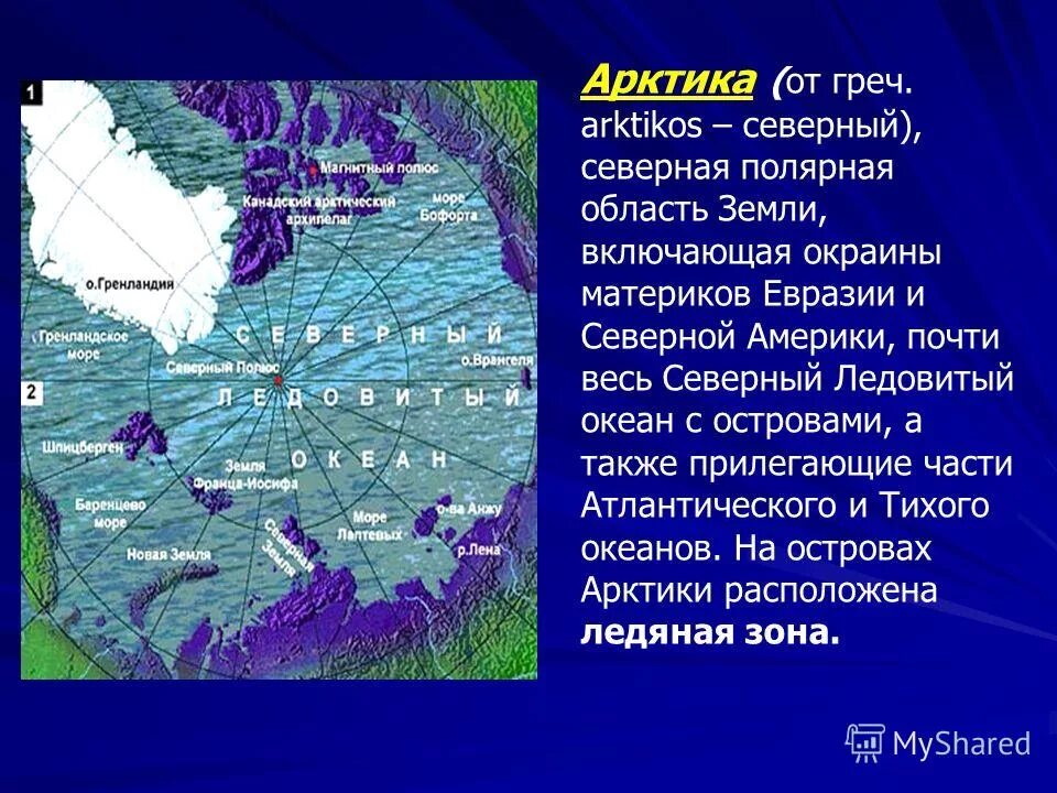 Арктика презентация. Презентация на тему Арктика. Презентация по Арктике. Моря Северного Ледовитого океана.