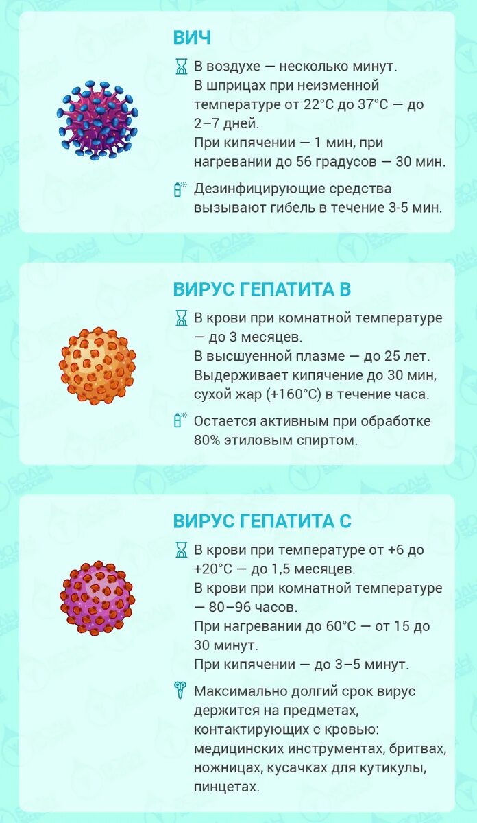 Сколько живет вирус на поверхности. Срок жизни вирусов вне организма. Продолжительность жизни вирусов. Условия жизни вирусов. Сколько живут вирусы вне организма.