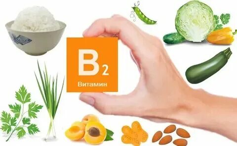Источники витамина с. Витамин b2 и b3. Витамин в2 (рибофлавин). Продукты где витамин в2. Витамин б2 рибофлавин.