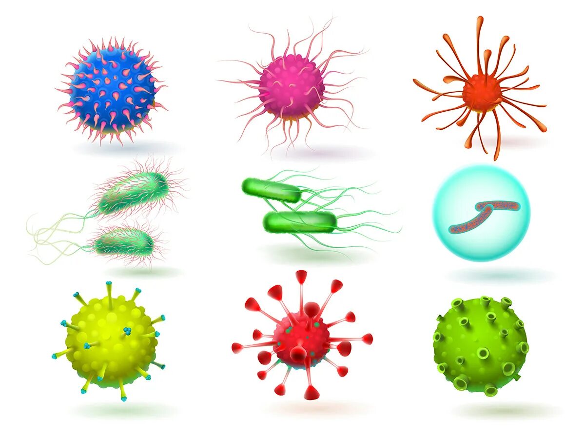 Бациллы бактерии микробиология. Вирусы и бактерии вектор. Название вирусов и бактерий. Изображение вирусов и бактерий.