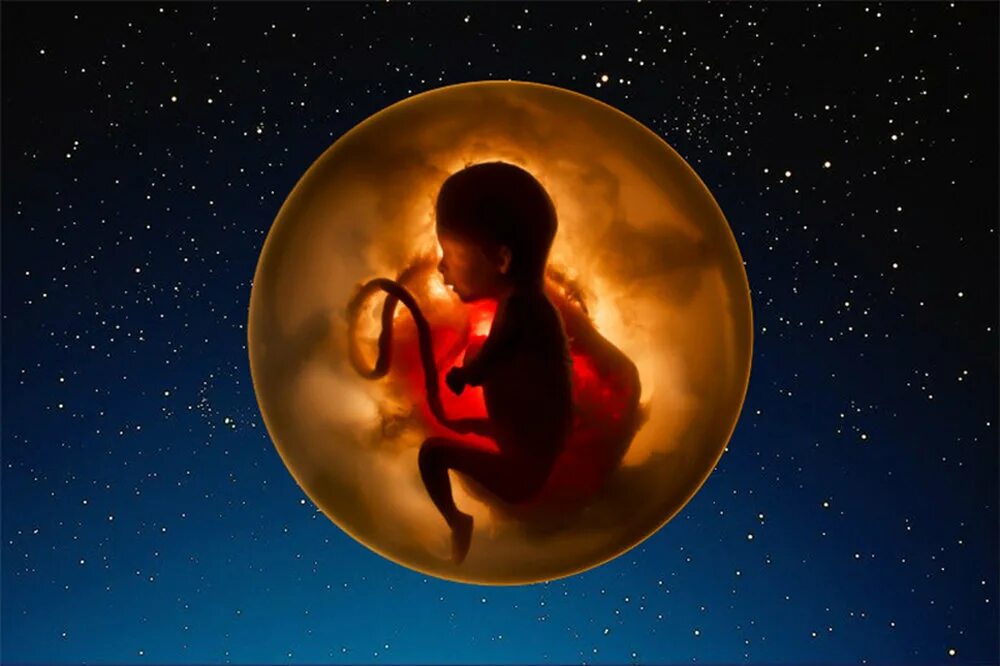 рождение человека на планете. рождение человека на планете. рождение человека. космический зародыш. космические дети.