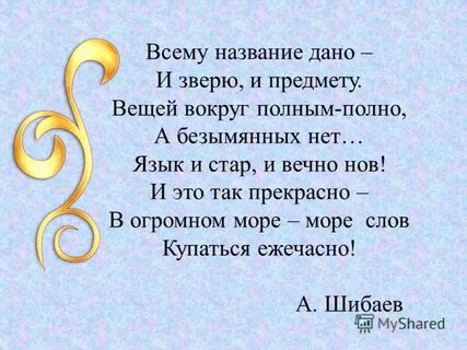 Вокруг полно