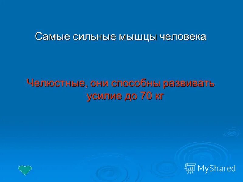 Внеклассное мероприятие своя игра