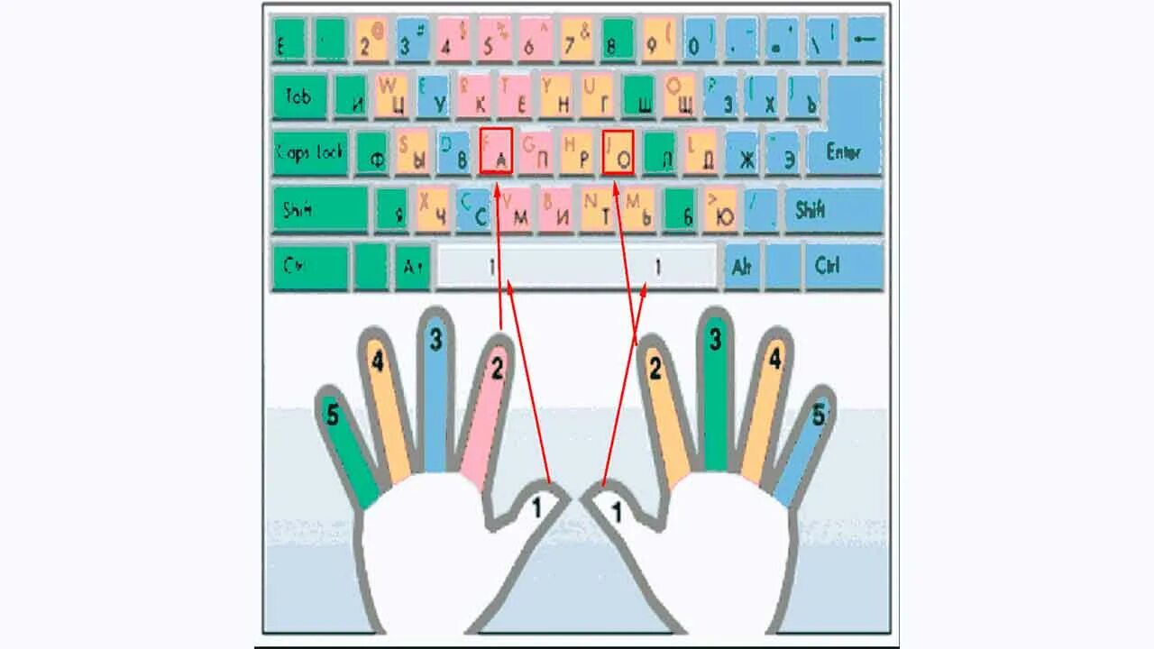 Десятипальцевый метод печати. Клавиатура для 10 пальцевой печати. 10 Пальцевый метод печати. Пальцы на клавиатуре.