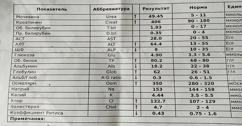 Показатель креатинина в норме у мужчин. Расшифровка анализа крови креатинин норма. Биохимический анализ крови креатинин показатели нормы. Мочевина и креатинин в крови норма.