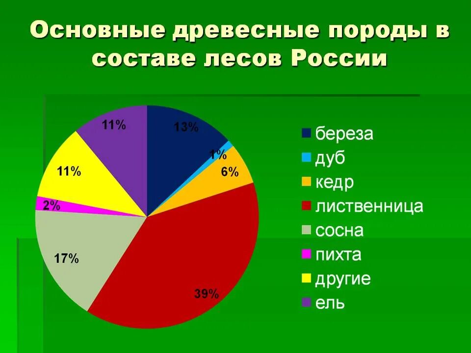 Основные древесные породы в составе лесов России. Лесные ресурсы России диаграмма. Диаграмма леса в России. Диаграмма лесов России.