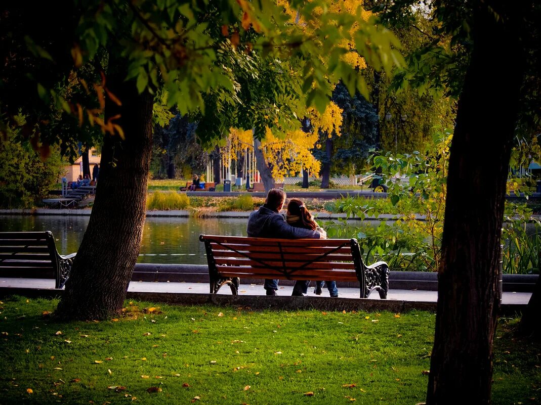 Голицынский пруд парк Горького. Октябрьский вечер. Летний вечер в парке Горького фото. Парк село Октябрьское вечером. Парк горького октябрьская