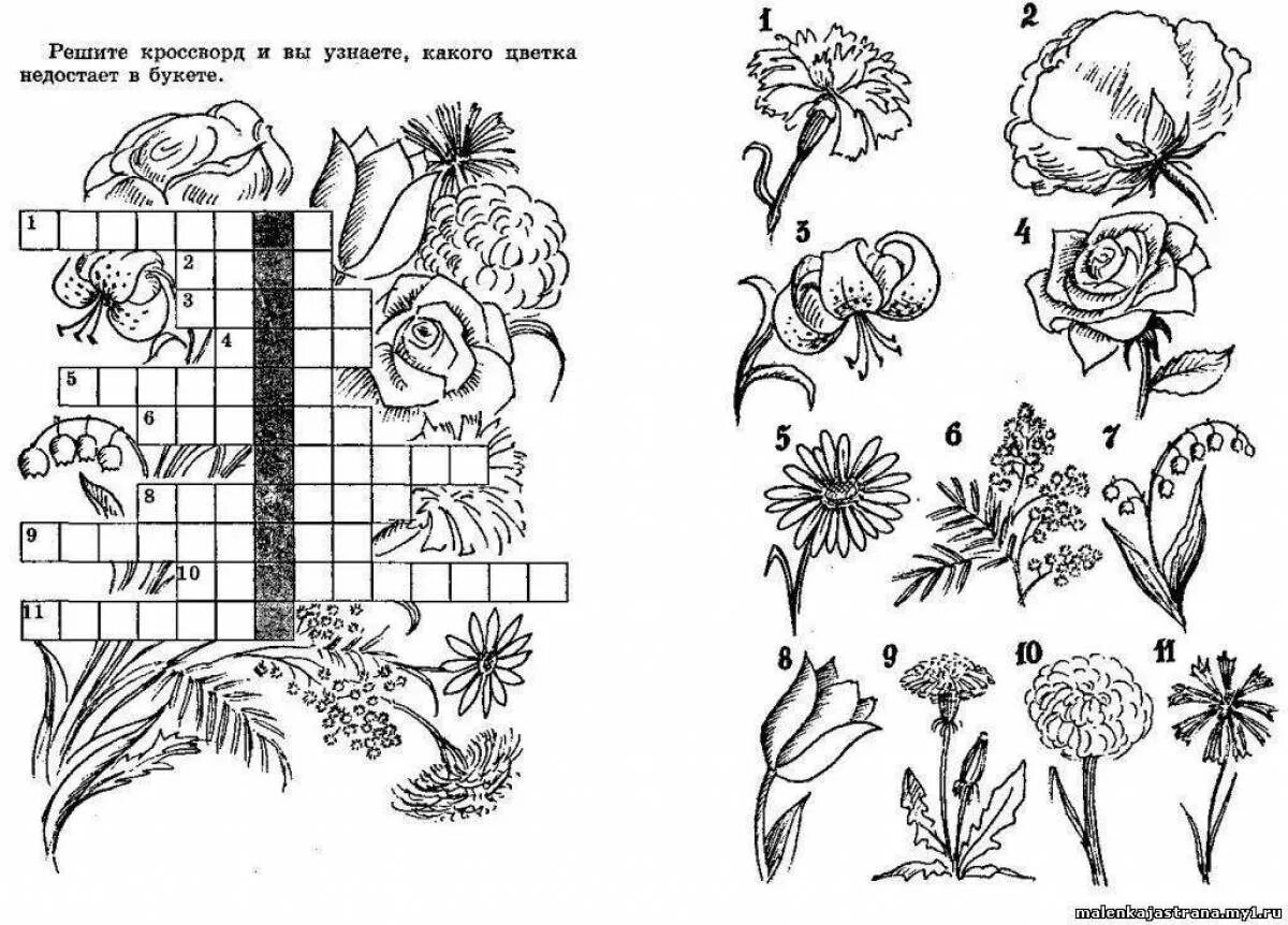 Цветы задания. Цветы задания для дошкольников. Задания по растениям. Травянистые растения задания для дошкольников.