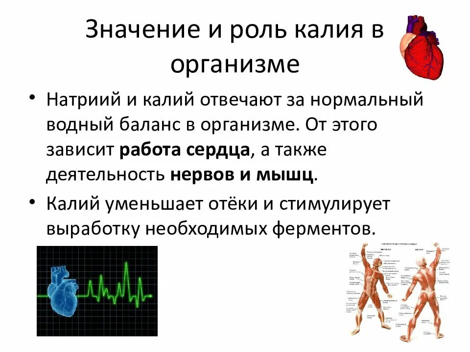 Чем отличается калий. Калий функции в организме. Роль калия в организме человека. Функции калия в организме человека. Значение калия в организме.