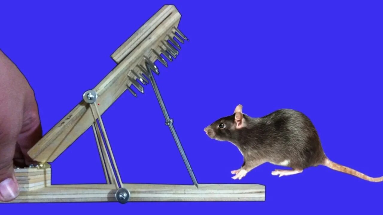 Как сделать самодельный капкан для крыс 11 Mice In One Night. The Rolling Log Mouse Trap In Action. Best Mouse Trap Ever