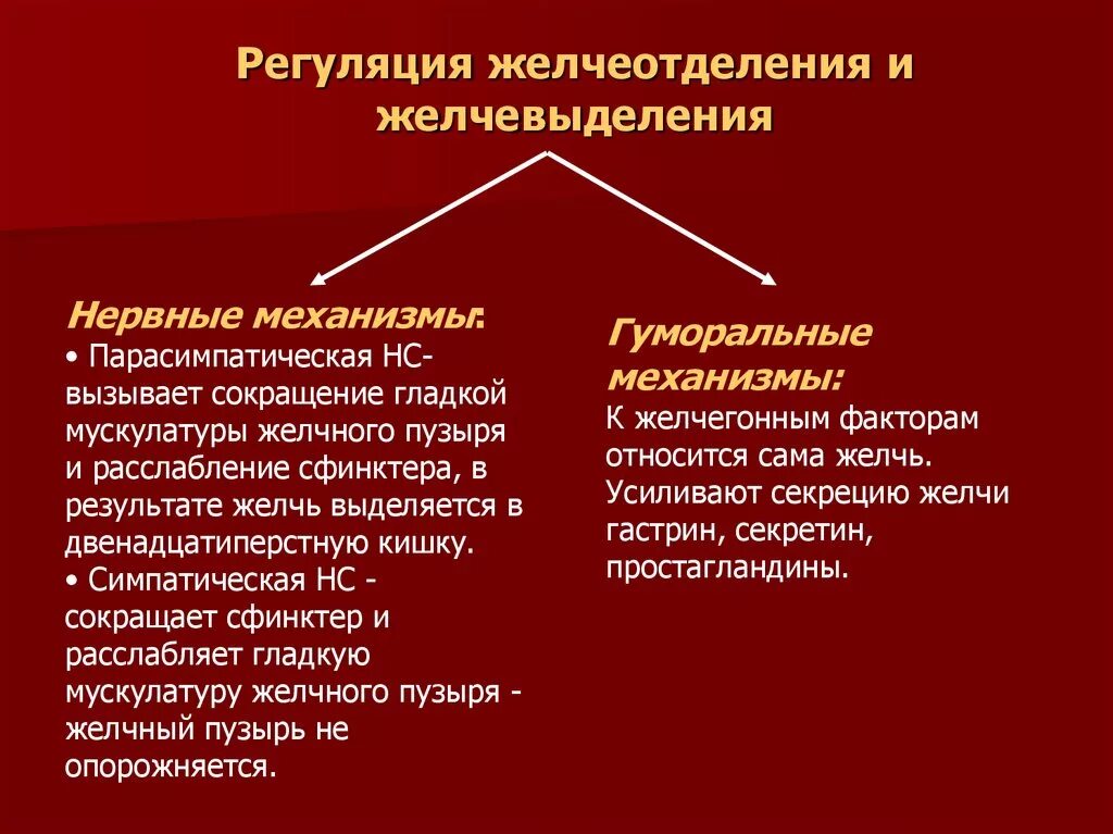 Механизмы регуляции желчеобразования. Нервно-гуморальные механизмы регуляции желчевыделения. Механизм и регуляция желчевыделения. Регуляция образования желчи.