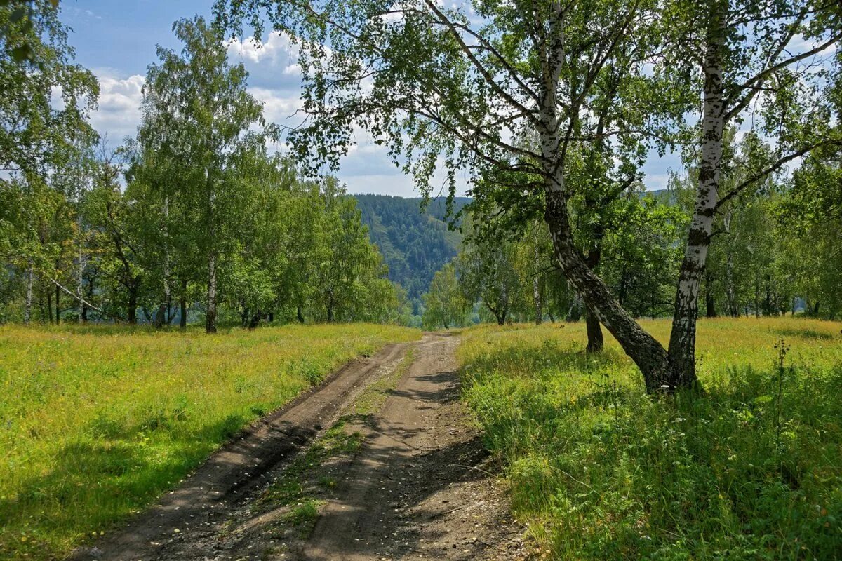 Баш деревня. Луга деревни башкирия. переволочанский башкирия. пейзаж башкирии деревни кигазы. башкирия деревня горький.