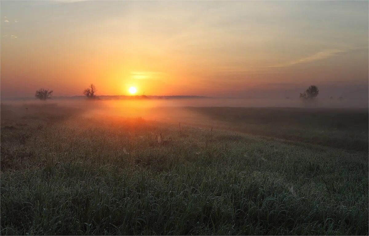 Низинах расстилается туман. Рассвет солнца. Солнце в степи. Раннее утро. Рассвет в поле.