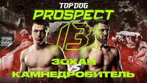Top dog 28 прямая трансляция