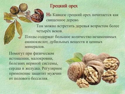 Грецкие орехи противопоказания для женщин
