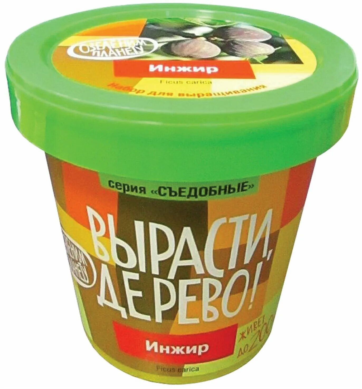 набор вырасти дерево кедр. набор вырасти лаванду. вырасти дерево видео. вырасти дерево набор для выращивания. голубая ель вырасти дерево.