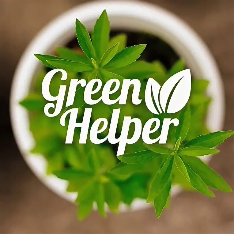 Грин хелпер. Green helper логотип. green helpers тюмень. грин хелпер туманообразования.